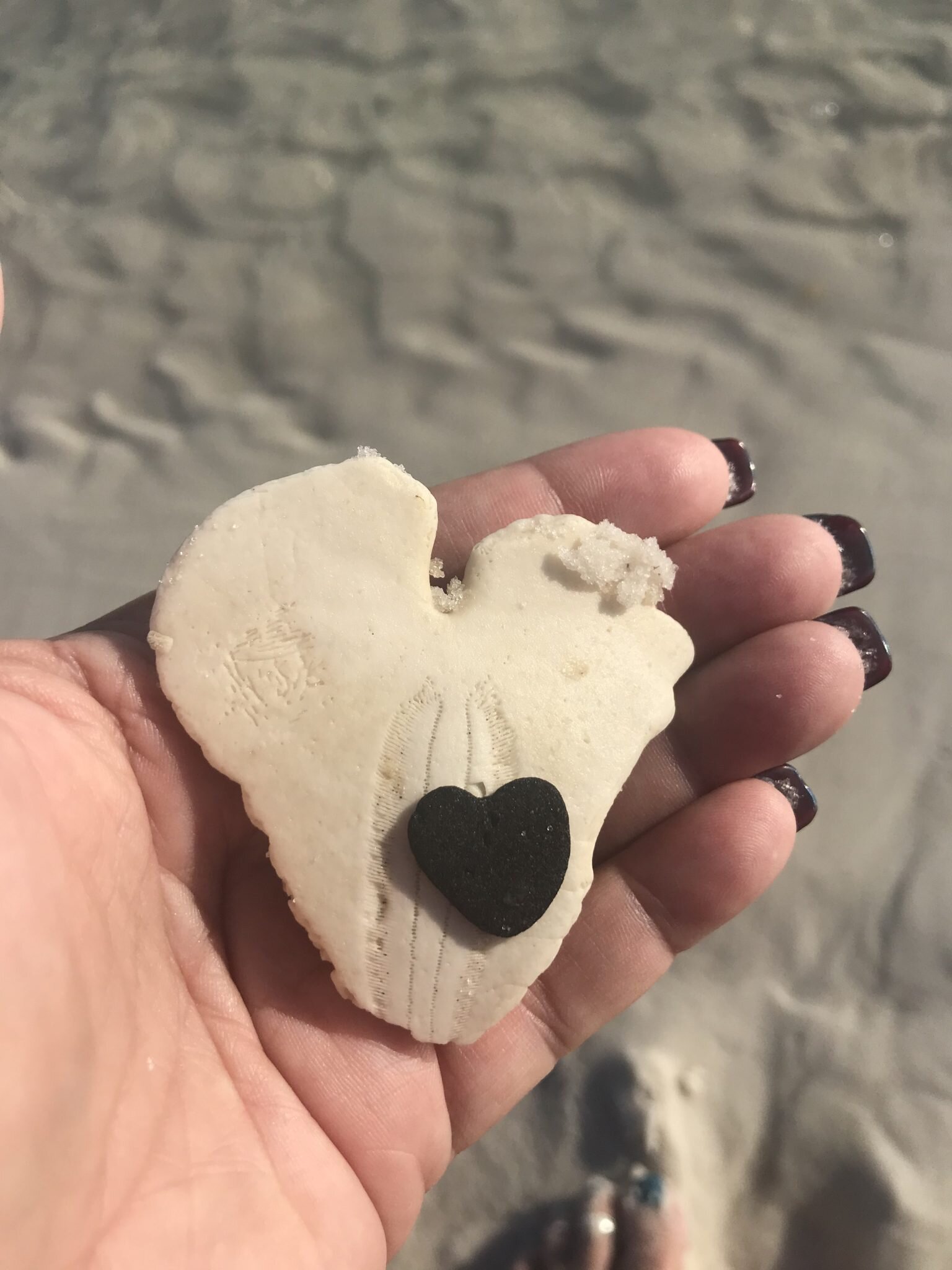 shell-hearts-1536x2048.jpg
